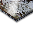  A Winters Walk in the Woods in the Scottish Highlands Acrylic print