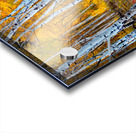 Colorado Autumn Aspens Acrylic print