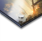 Descent to the sea in Cala Violina beach in Tuscany Acrylic print