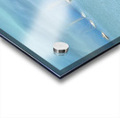 On Its Last Legs Acrylic print