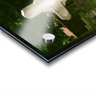 CCBG Phila 07 Acrylic print