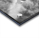 Cape Hatteras Lighthouse in Black and White Vertical Acrylic print