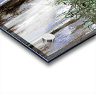 Summer Daises and Grass Acrylic print