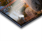 Lake Tahoe Tranquility Acrylic print