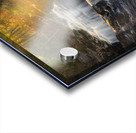 A Beautiful Gift Acrylic print