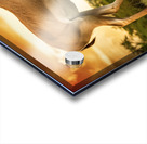 Safari Acrylic print