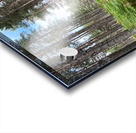 On the Nature Trail in the Scottish Highlands Acrylic print