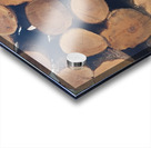 Winter Wood Acrylic print