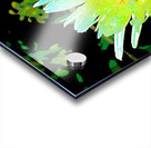 Abstract Summer Daisy Flower Acrylic print