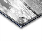 Kimberling City Bridge And Table Rock Lake Grayscale Acrylic print