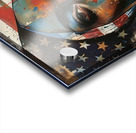 Patriotic Reflection Acrylic print