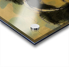 Youthful Wonder Acrylic print