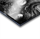 McClellanville Historic Live Oak Tree Acrylic print