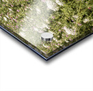 They Play So Well Together Acrylic print