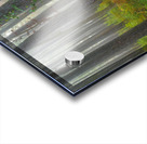 Moultrie Forest Hues Acrylic print