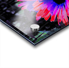  Abstract Garden Summer Daisy Flower Acrylic print