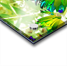 Abstract Glowing Summer Daisy Light Acrylic print