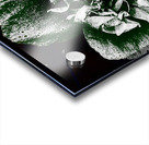 Abstract Dark Poppy Flower Acrylic print