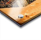 Bunnyette Acrylic print