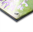 Veil of Serenity Acrylic print