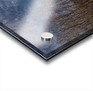 2024 Portfolio 3 Acrylic print