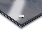 2024 Portfolio 5 Acrylic print