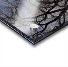 2024 Portfolio 24 Acrylic print