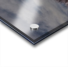 2024 Portfolio 27 Acrylic print