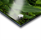 2024 Portfolio 38 Acrylic print