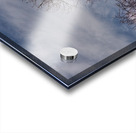 2024 Portfolio 1 Acrylic print