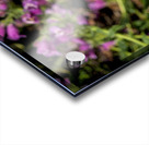 2024 Portfolio 4 Acrylic print