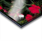 2024 Portfolio 39 Acrylic print