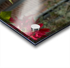 2024 Portfolio 1 Acrylic print