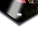 2024 Portfolio 34 Acrylic print