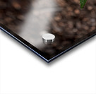 2024 Portfolio 45 Acrylic print