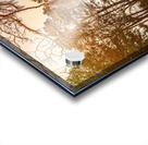 Botany Bay Ice House Acrylic print