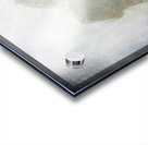 Ghost Horses Acrylic print