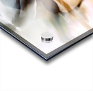 Sport Horse Swoosh Acrylic print