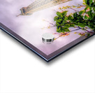 Eiffel Tower in Spring Acrylic print