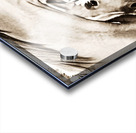 A Mothers Bond Acrylic print