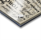 Memoirs of Toronto Acrylic print