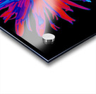 Abstract Brightly Coloured Daisy Flower Acrylic print