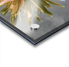 Abstract Vibrant Daisy Flower on a Grey Abstract Background Acrylic print