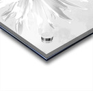 Abstract Minimalist Daisy Flower Too Acrylic print