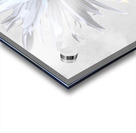 Abstract Minimalist Daisy Flower Acrylic print