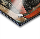 Zolas Gaze Acrylic print