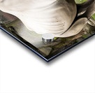 large rhino in the park 3 Acrylic print