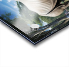 large rhino in the park 4 Acrylic print