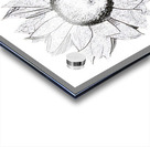 sunflower drawing 2408206 Acrylic print