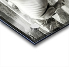 A rhinoceros in what appears to be a zoo or wildl Acrylic print